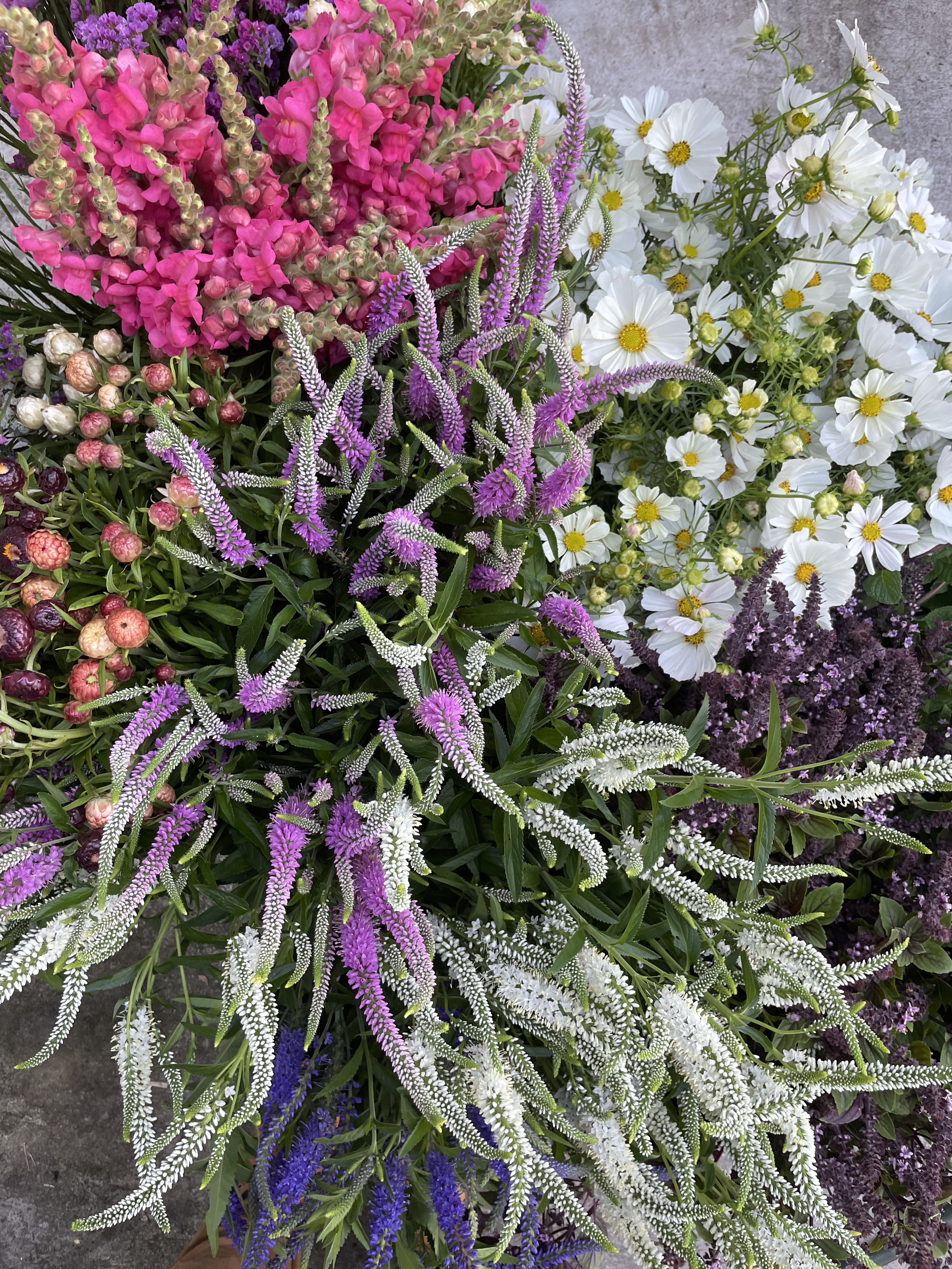 Wholesale – Full Keel Farm